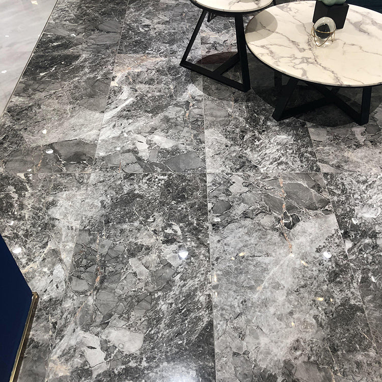 Glazed Floor and Wall Tile Indoor Floor and Wall Tile with Rectangular Shape Clearhalo 'Floor Tiles & Wall Tiles' 'floor_tiles_wall_tiles' 'Flooring 'Home Improvement' 'home_improvement' 'home_improvement_floor_tiles_wall_tiles' Walls and Ceiling' 7364843