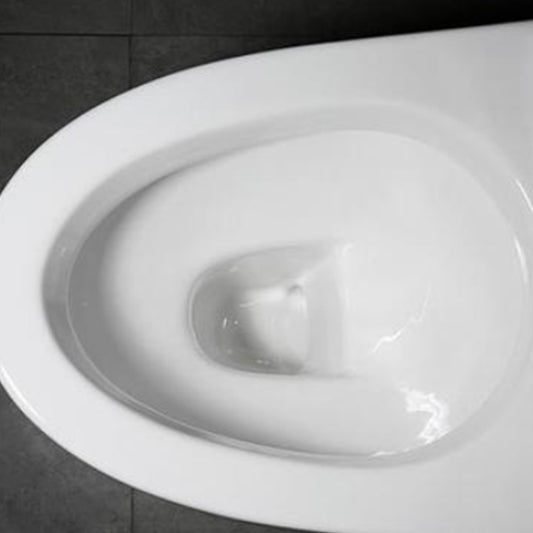 Contemporary White Flush Toilet Ceramic Urine Toilet for Bathroom Clearhalo 'Bathroom Remodel & Bathroom Fixtures' 'Home Improvement' 'home_improvement' 'home_improvement_toilets' 'Toilets & Bidets' 'Toilets' 7365254