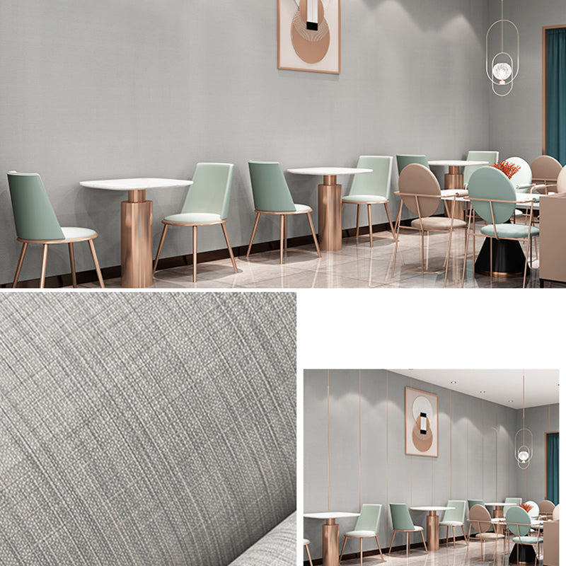 Modern Wall Covering Paneling Textured Wall Interior Wear-resistant Plank Light Gray Clearhalo 'Flooring 'Home Improvement' 'home_improvement' 'home_improvement_wall_paneling' 'Wall Paneling' 'wall_paneling' 'Walls & Ceilings' Walls and Ceiling' 7368352