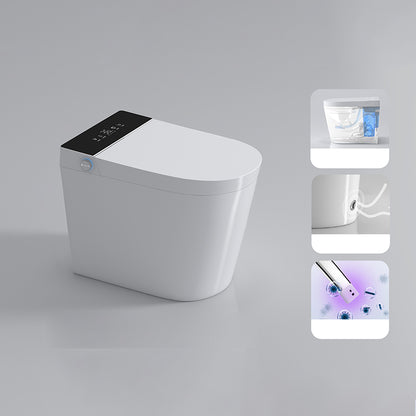 Elongated Toilet Seat Bidet White All-in-One Bidet with Unlimited Warm Water Black Manual Flip Clearhalo 'Bathroom Remodel & Bathroom Fixtures' 'Bidets' 'Home Improvement' 'home_improvement' 'home_improvement_bidets' 'Toilets & Bidets' 7372001