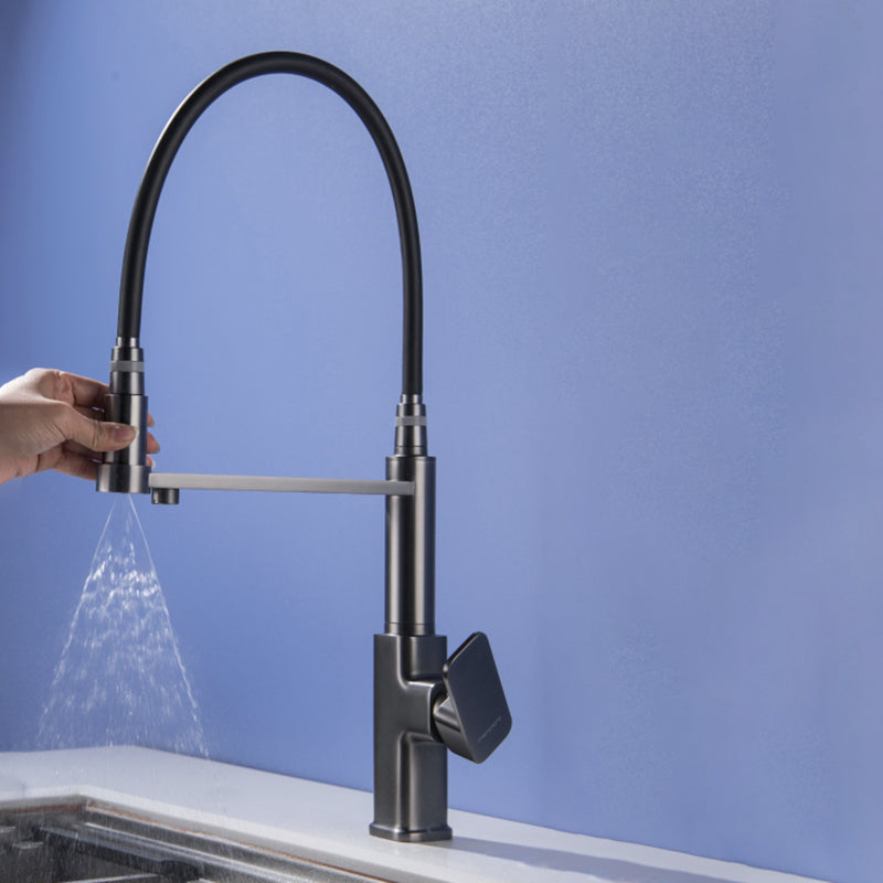 Swivel Spout Kitchen Sink Faucet High Arc with Pull Down Sprayer Grey Pull Out Water Filter Faucet Clearhalo 'Home Improvement' 'home_improvement' 'home_improvement_kitchen_faucets' 'Kitchen Faucets' 'Kitchen Remodel & Kitchen Fixtures' 'Kitchen Sinks & Faucet Components' 'kitchen_faucets' 7373399