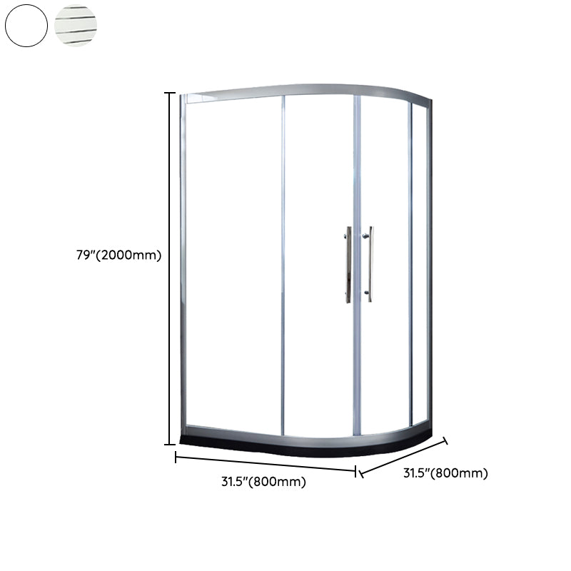 Clear Stainless Steel Shower Enclosure Framed Double Sliding Shower Kit Clearhalo 'Bathroom Remodel & Bathroom Fixtures' 'Home Improvement' 'home_improvement' 'home_improvement_shower_stalls_enclosures' 'Shower Stalls & Enclosures' 'shower_stalls_enclosures' 'Showers & Bathtubs' 7376529