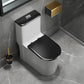 One Piece Toilet Modern Urine Toilet Floor Mounted Siphon Jet Toilet Bowl Black 12" Clearhalo 'Bathroom Remodel & Bathroom Fixtures' 'Home Improvement' 'home_improvement' 'home_improvement_toilets' 'Toilets & Bidets' 'Toilets' 7379856