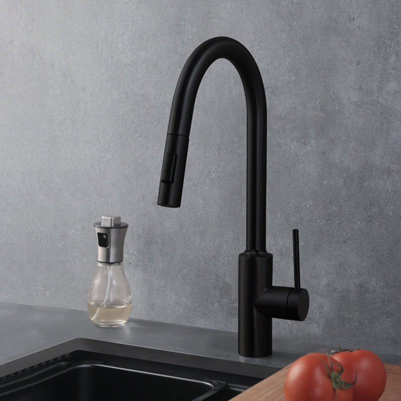 Swivel Spout Kitchen Bar Faucet Touch Sensor with Pull Out Sprayer Black Digital Display Not Included Clearhalo 'Home Improvement' 'home_improvement' 'home_improvement_kitchen_faucets' 'Kitchen Faucets' 'Kitchen Remodel & Kitchen Fixtures' 'Kitchen Sinks & Faucet Components' 'kitchen_faucets' 7387199