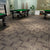 Modern Carpet Tiles Multi Level Loop Glue Down Non-Skid Carpet Tile for Foyer Medium Grey 40-Piece Set Clearhalo 'Carpet Tiles & Carpet Squares' 'carpet_tiles_carpet_squares' 'Flooring 'Home Improvement' 'home_improvement' 'home_improvement_carpet_tiles_carpet_squares' Walls and Ceiling' 7389376