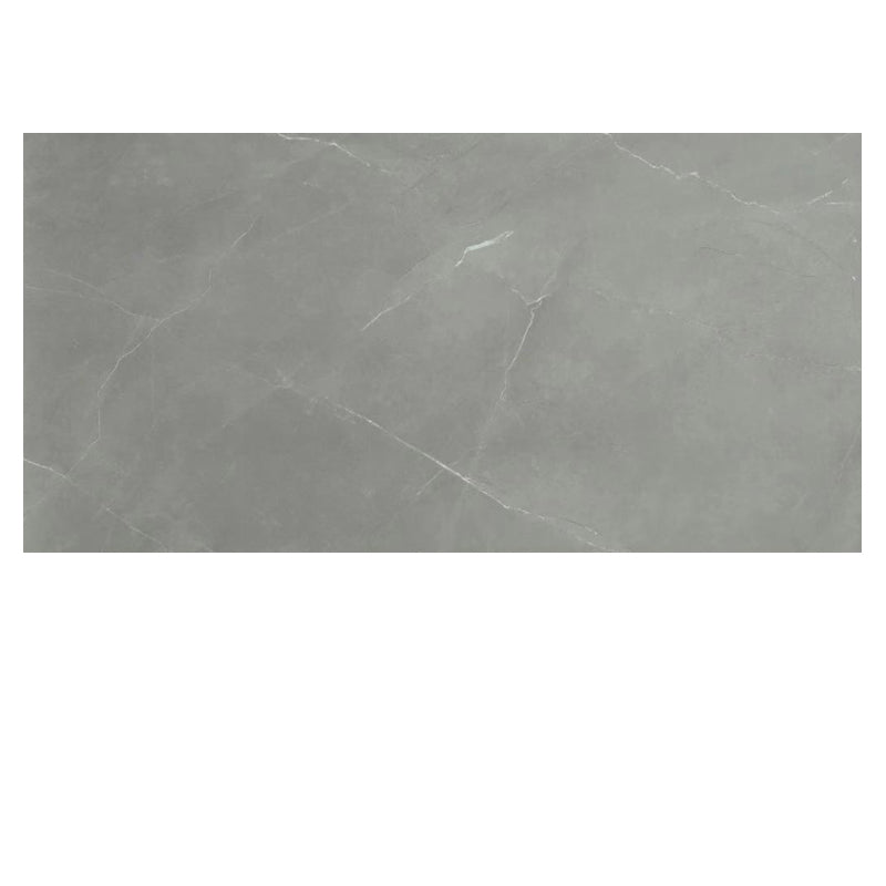 Contemporary Laminate Floor Scratch Resistant Tongue and Groove Locking Silver Gray Clearhalo 'Flooring 'Home Improvement' 'home_improvement' 'home_improvement_laminate_flooring' 'Laminate Flooring' 'laminate_flooring' Walls and Ceiling' 7396838