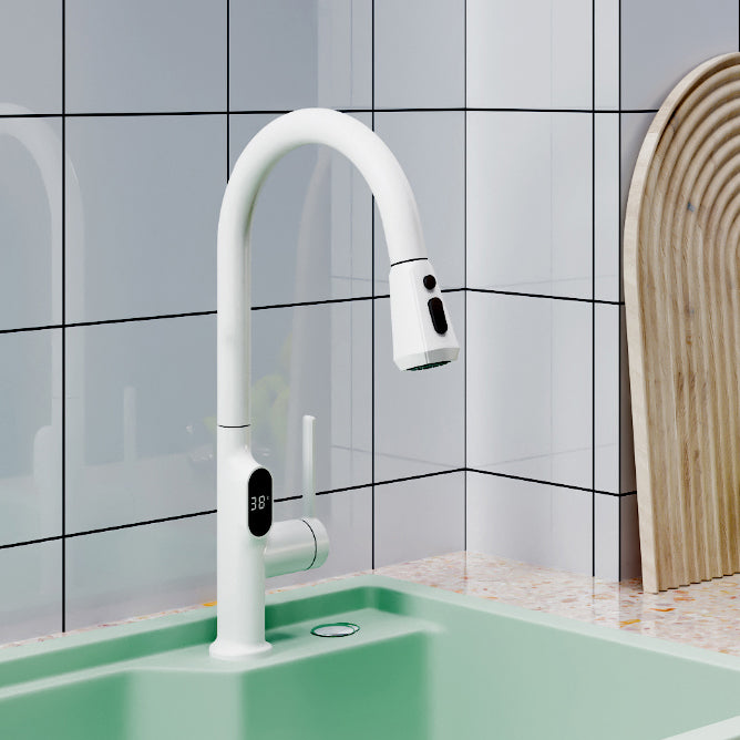 Digital Display Kitchen Faucet Touchless Sensor with Pull Out Sprayer Clearhalo 'Home Improvement' 'home_improvement' 'home_improvement_kitchen_faucets' 'Kitchen Faucets' 'Kitchen Remodel & Kitchen Fixtures' 'Kitchen Sinks & Faucet Components' 'kitchen_faucets' 7409113