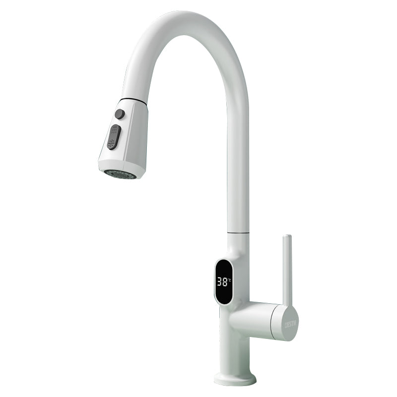 Digital Display Kitchen Faucet Touchless Sensor with Pull Out Sprayer Clearhalo 'Home Improvement' 'home_improvement' 'home_improvement_kitchen_faucets' 'Kitchen Faucets' 'Kitchen Remodel & Kitchen Fixtures' 'Kitchen Sinks & Faucet Components' 'kitchen_faucets' 7409114