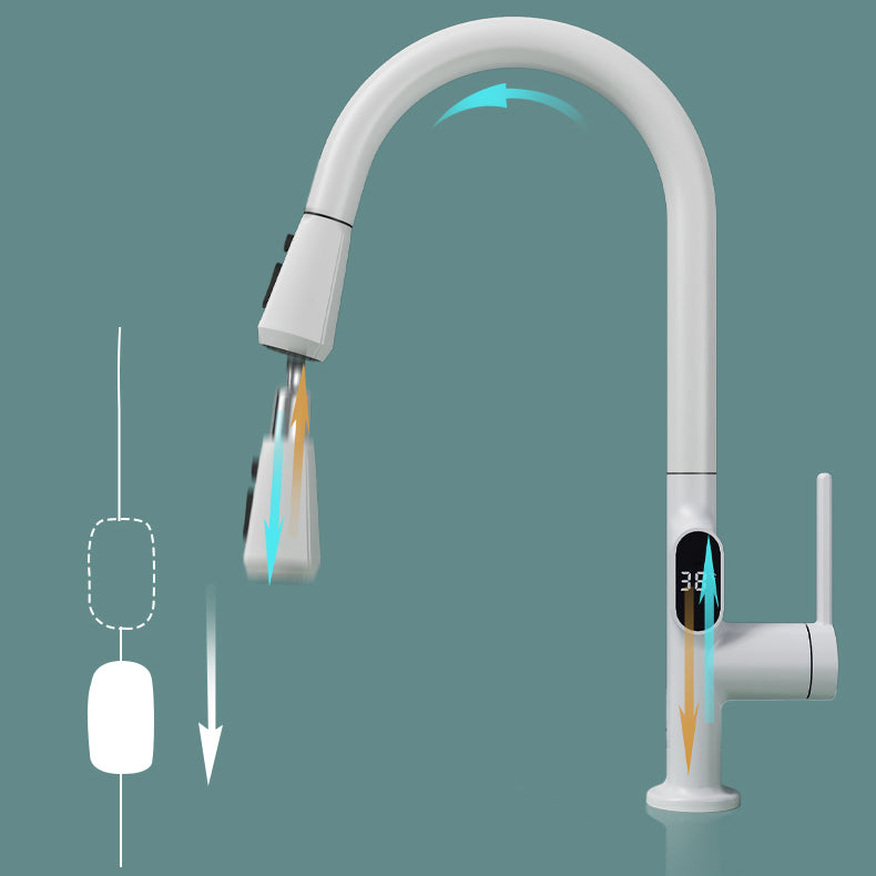 Digital Display Kitchen Faucet Touchless Sensor with Pull Out Sprayer Clearhalo 'Home Improvement' 'home_improvement' 'home_improvement_kitchen_faucets' 'Kitchen Faucets' 'Kitchen Remodel & Kitchen Fixtures' 'Kitchen Sinks & Faucet Components' 'kitchen_faucets' 7409116