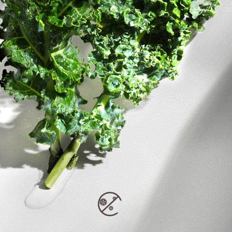 Contemporary Style Kitchen Sink Kitchen Sink with Basket Strainer Clearhalo 'Home Improvement' 'home_improvement' 'home_improvement_kitchen_sinks' 'Kitchen Remodel & Kitchen Fixtures' 'Kitchen Sinks & Faucet Components' 'Kitchen Sinks' 'kitchen_sinks' 7409940