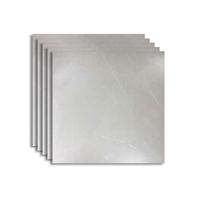Floor Tile Square Scratch Resistant Ceramic Marble Print Non-Skid Matter Floor Tile Light Gray Clearhalo 'Floor Tiles & Wall Tiles' 'floor_tiles_wall_tiles' 'Flooring 'Home Improvement' 'home_improvement' 'home_improvement_floor_tiles_wall_tiles' Walls and Ceiling' 7410553