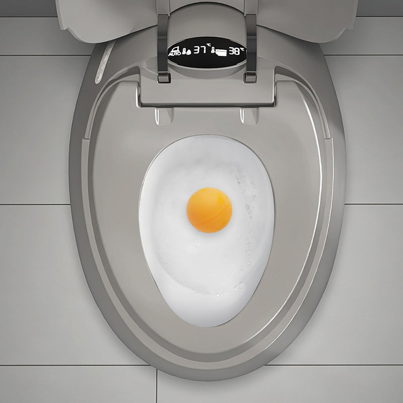 Gray Plastic Floor Standing Bidet Contemporary Floor Mount Bidet Clearhalo 'Bathroom Remodel & Bathroom Fixtures' 'Bidets' 'Home Improvement' 'home_improvement' 'home_improvement_bidets' 'Toilets & Bidets' 7416773