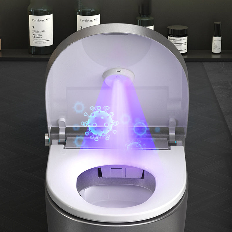 Stain Resistant Smart Toilet Deodorizing Elongated Floor Mount Bidet Clearhalo 'Bathroom Remodel & Bathroom Fixtures' 'Bidets' 'Home Improvement' 'home_improvement' 'home_improvement_bidets' 'Toilets & Bidets' 7416811