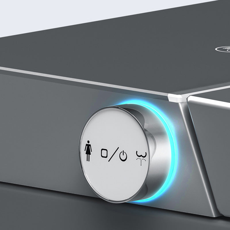 Temperature Control Floor Mount Bidet Elongated Floor Standing Bidet Clearhalo 'Bathroom Remodel & Bathroom Fixtures' 'Bidets' 'Home Improvement' 'home_improvement' 'home_improvement_bidets' 'Toilets & Bidets' 7416939