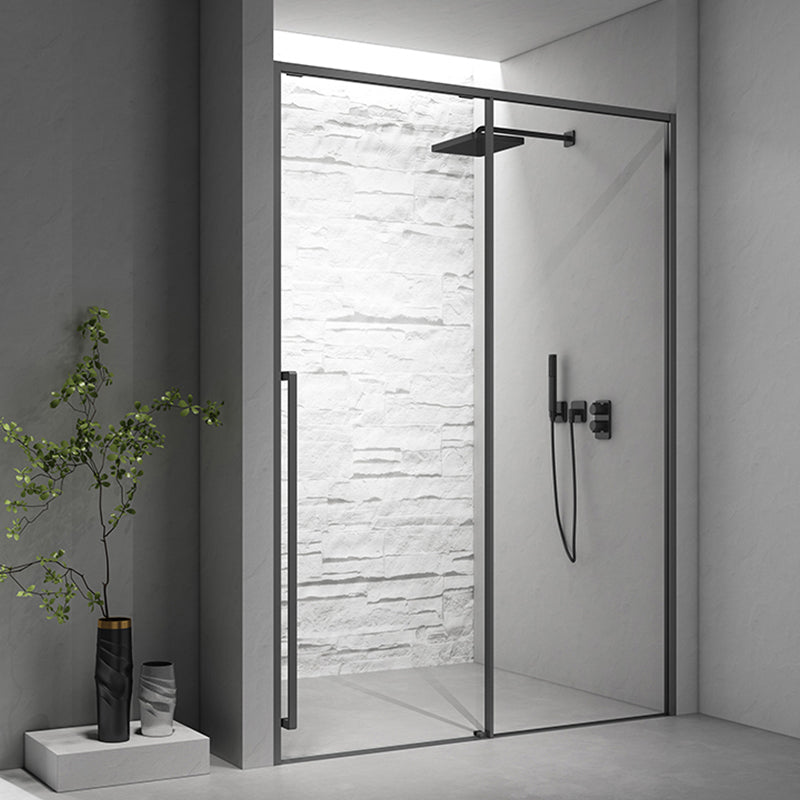 Gray Narrow Side Shower Door Single Sliding Door Tempered Glass Shower Door Clearhalo 'Bathroom Remodel & Bathroom Fixtures' 'Home Improvement' 'home_improvement' 'home_improvement_shower_tub_doors' 'Shower and Tub Doors' 'shower_tub_doors' 'Showers & Bathtubs' 7417173