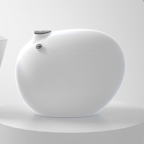 Round Floor Mount Bidet with Unlimited Warm Water Vitreous China Bidets Clearhalo 'Bathroom Remodel & Bathroom Fixtures' 'Bidets' 'Home Improvement' 'home_improvement' 'home_improvement_bidets' 'Toilets & Bidets' 7437973