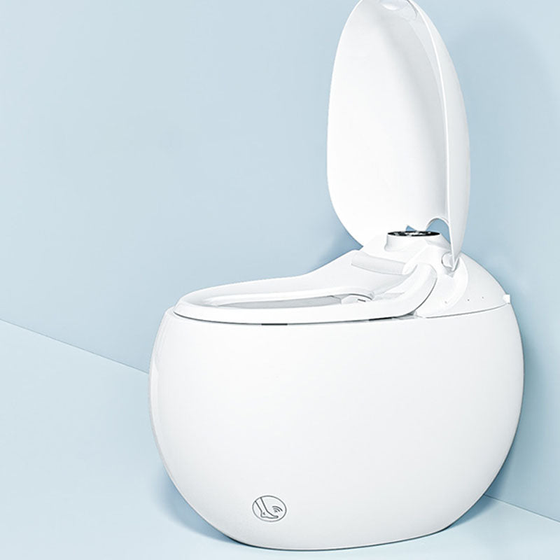 Temperature Control Floor Standing Bidet Deodorizing Toilet Warm Air Dryer Clearhalo 'Bathroom Remodel & Bathroom Fixtures' 'Bidets' 'Home Improvement' 'home_improvement' 'home_improvement_bidets' 'Toilets & Bidets' 7438083