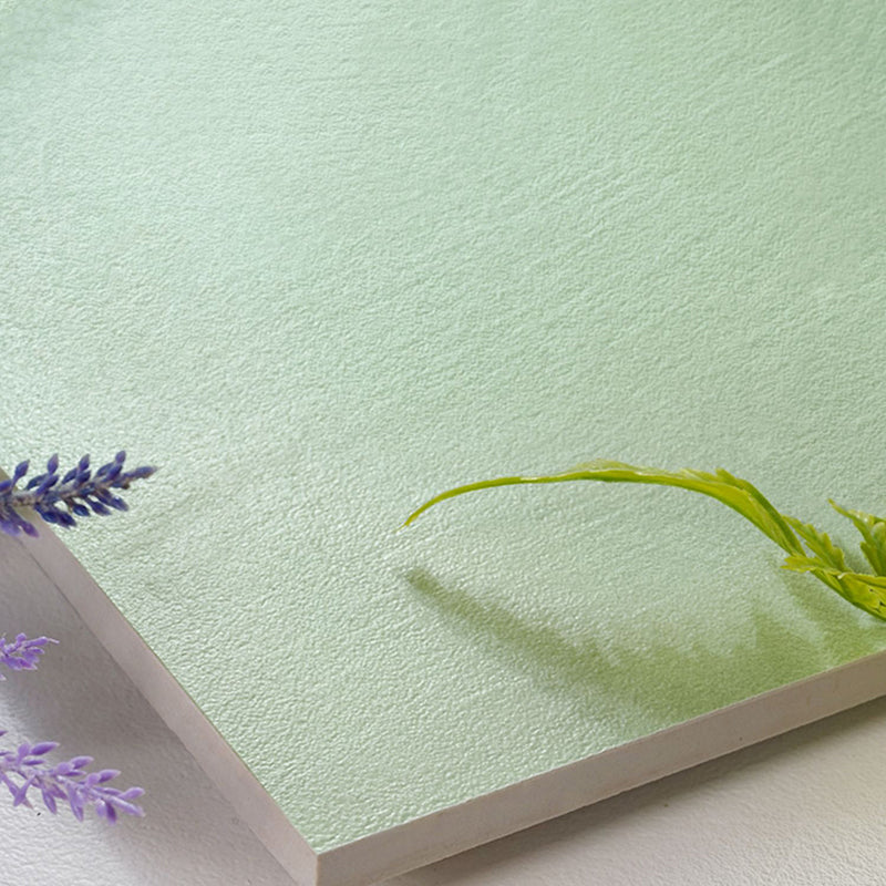 Modern Style Floor Tile Waterproof Scratch Resistant Straight Edge Square Floor Tile Clearhalo 'Floor Tiles & Wall Tiles' 'floor_tiles_wall_tiles' 'Flooring 'Home Improvement' 'home_improvement' 'home_improvement_floor_tiles_wall_tiles' Walls and Ceiling' 7452011