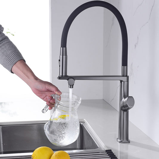 Farmhouse Spring Spout Water Filler One Handle High Arch Kitchen Faucet Clearhalo 'Home Improvement' 'home_improvement' 'home_improvement_kitchen_faucets' 'Kitchen Faucets' 'Kitchen Remodel & Kitchen Fixtures' 'Kitchen Sinks & Faucet Components' 'kitchen_faucets' 7452555