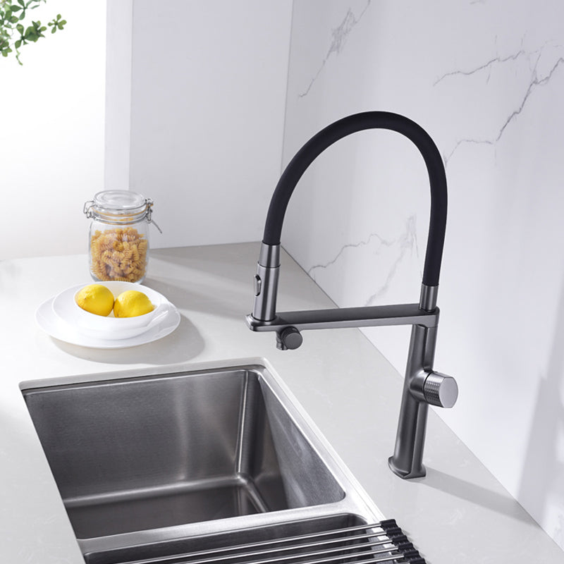 Farmhouse Spring Spout Water Filler One Handle High Arch Kitchen Faucet Clearhalo 'Home Improvement' 'home_improvement' 'home_improvement_kitchen_faucets' 'Kitchen Faucets' 'Kitchen Remodel & Kitchen Fixtures' 'Kitchen Sinks & Faucet Components' 'kitchen_faucets' 7452557