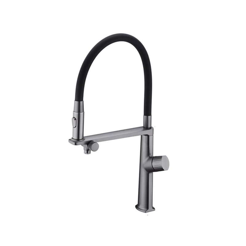 Farmhouse Spring Spout Water Filler One Handle High Arch Kitchen Faucet Clearhalo 'Home Improvement' 'home_improvement' 'home_improvement_kitchen_faucets' 'Kitchen Faucets' 'Kitchen Remodel & Kitchen Fixtures' 'Kitchen Sinks & Faucet Components' 'kitchen_faucets' 7452558