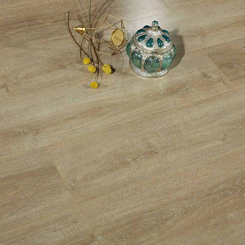 Modern Style Laminate Floor Wooden Waterproof Scratch Resistant Laminate Floor Clearhalo 'Flooring 'Home Improvement' 'home_improvement' 'home_improvement_laminate_flooring' 'Laminate Flooring' 'laminate_flooring' Walls and Ceiling' 7454036