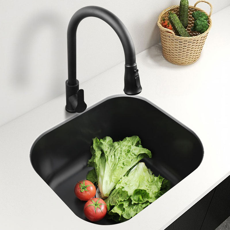 Modern Style Undermount Kitchen Sink Stainless Steel Oval Kitchen Sink with Faucet Clearhalo 'Home Improvement' 'home_improvement' 'home_improvement_kitchen_sinks' 'Kitchen Remodel & Kitchen Fixtures' 'Kitchen Sinks & Faucet Components' 'Kitchen Sinks' 'kitchen_sinks' 7465587