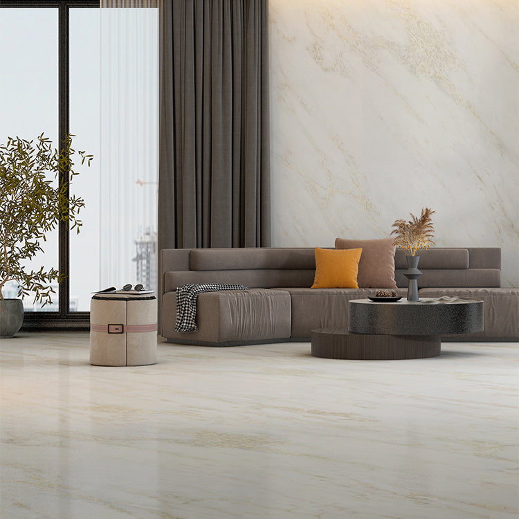 Popular Wall & Floor Tile Marble Patterned Porcelain Textured Tile Clearhalo 'Floor Tiles & Wall Tiles' 'floor_tiles_wall_tiles' 'Flooring 'Home Improvement' 'home_improvement' 'home_improvement_floor_tiles_wall_tiles' Walls and Ceiling' 7466656