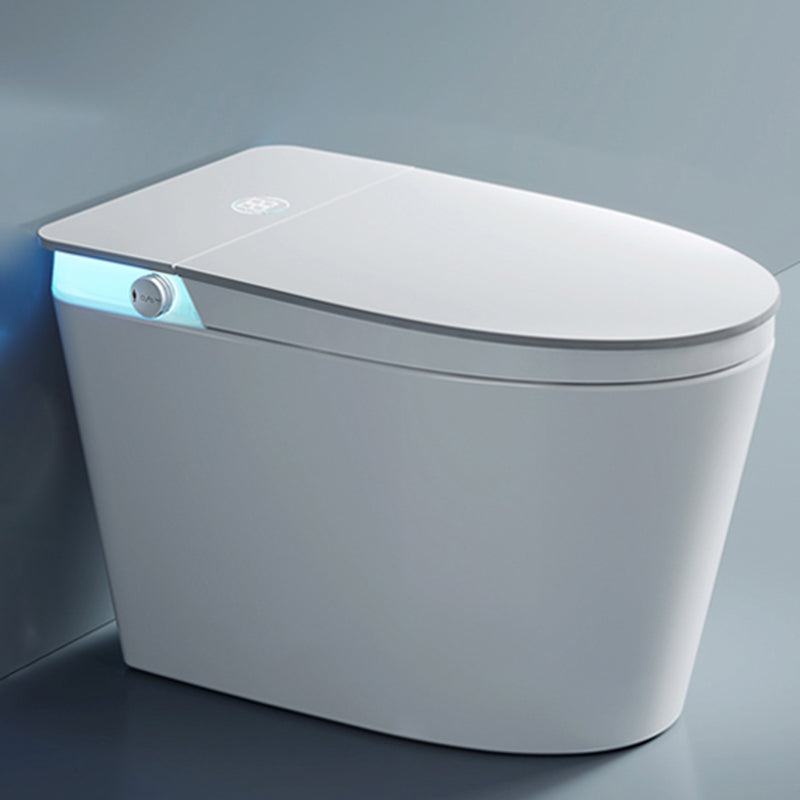 Elongated Floor Standing Bidet Deodorizing and Antimicrobial Floor Mount Bidet Toilet+ Water Tank Clearhalo 'Bathroom Remodel & Bathroom Fixtures' 'Bidets' 'Home Improvement' 'home_improvement' 'home_improvement_bidets' 'Toilets & Bidets' 7485074