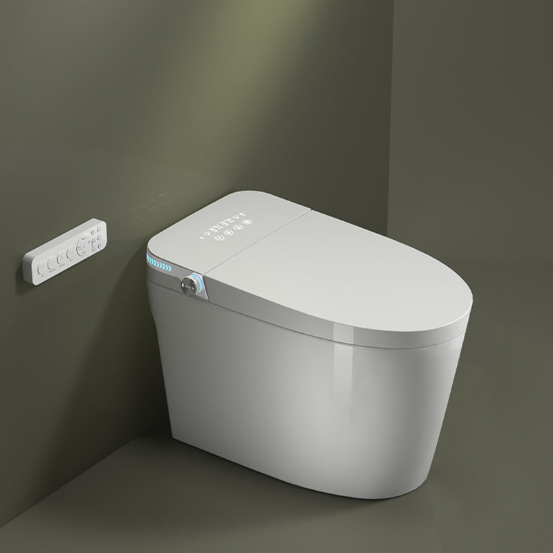Minimalist Bidets Bidets Toilet Temperature Control Elongated Seat Bidet in White Manual Lid & Splash Proof Clearhalo 'Bathroom Remodel & Bathroom Fixtures' 'Bidets' 'Home Improvement' 'home_improvement' 'home_improvement_bidets' 'Toilets & Bidets' 7554910