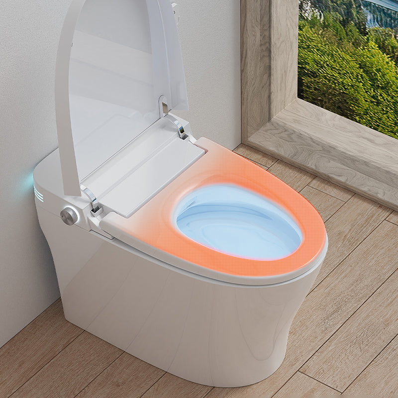 Simplicity Bidets Bidets Toilet Temperature Control Elongated Seat Bidet in White Clearhalo 'Bathroom Remodel & Bathroom Fixtures' 'Bidets' 'Home Improvement' 'home_improvement' 'home_improvement_bidets' 'Toilets & Bidets' 7554940