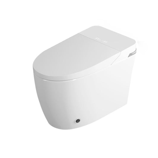 Elongated All-in-One Bidet White One-Piece Smart Toilet Bidet with Quiet-Close Clearhalo 'Bathroom Remodel & Bathroom Fixtures' 'Bidets' 'Home Improvement' 'home_improvement' 'home_improvement_bidets' 'Toilets & Bidets' 7555247