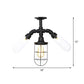 Antiqued Ball/Capsule Semi-Flush Ceiling Light 3 Bulbs Clear Glass Flush Mounted Lamp in Black with Cage Clearhalo 'Ceiling Lights' 'Close To Ceiling Lights' 'Close to ceiling' 'Glass shade' 'Glass' 'Semi-flushmount' Lighting' 758503