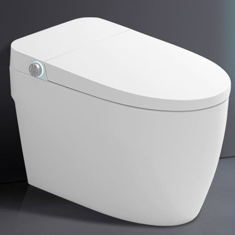 Elongated Vitreous China Bidet All-In-One Smart Toilet Seat Bidet Automatic Lid Clearhalo 'Bathroom Remodel & Bathroom Fixtures' 'Bidets' 'Home Improvement' 'home_improvement' 'home_improvement_bidets' 'Toilets & Bidets' 7612373