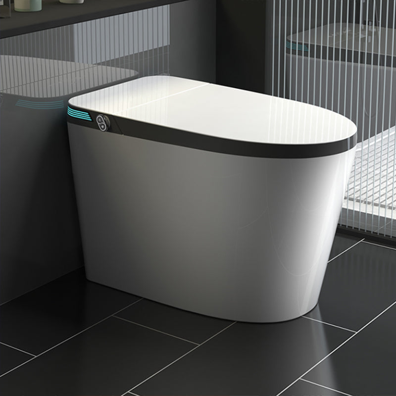 Elongated Floor Standing Bidet with Warm Air Dryer and Bidet Sprayer White Gray Clearhalo 'Bathroom Remodel & Bathroom Fixtures' 'Bidets' 'Home Improvement' 'home_improvement' 'home_improvement_bidets' 'Toilets & Bidets' 7703899