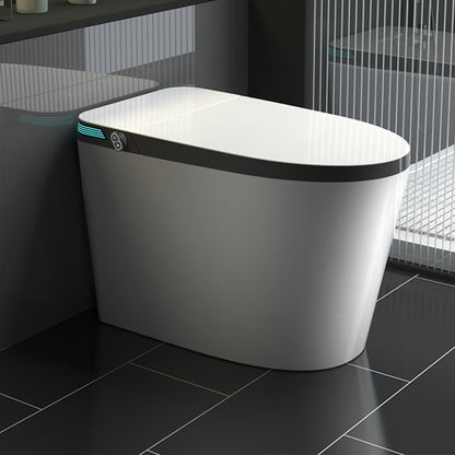 Elongated Floor Standing Bidet with Warm Air Dryer and Bidet Sprayer White Gray Clearhalo 'Bathroom Remodel & Bathroom Fixtures' 'Bidets' 'Home Improvement' 'home_improvement' 'home_improvement_bidets' 'Toilets & Bidets' 7703899