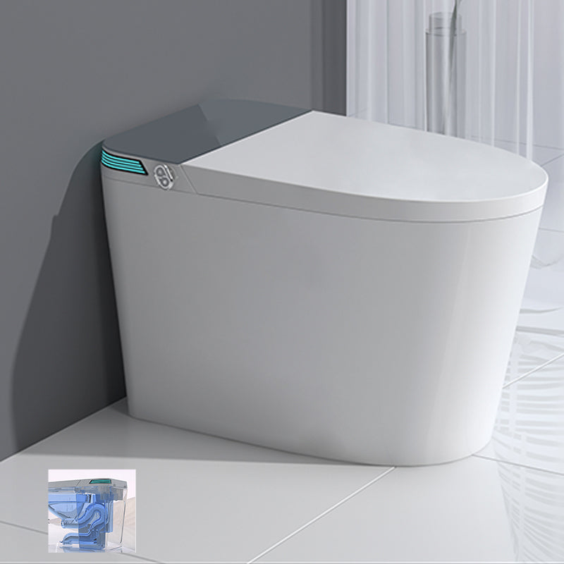 Elongated Floor Standing Bidet with Warm Air Dryer and Bidet Sprayer Gray White Manual Lid (Standard) Clearhalo 'Bathroom Remodel & Bathroom Fixtures' 'Bidets' 'Home Improvement' 'home_improvement' 'home_improvement_bidets' 'Toilets & Bidets' 7703907