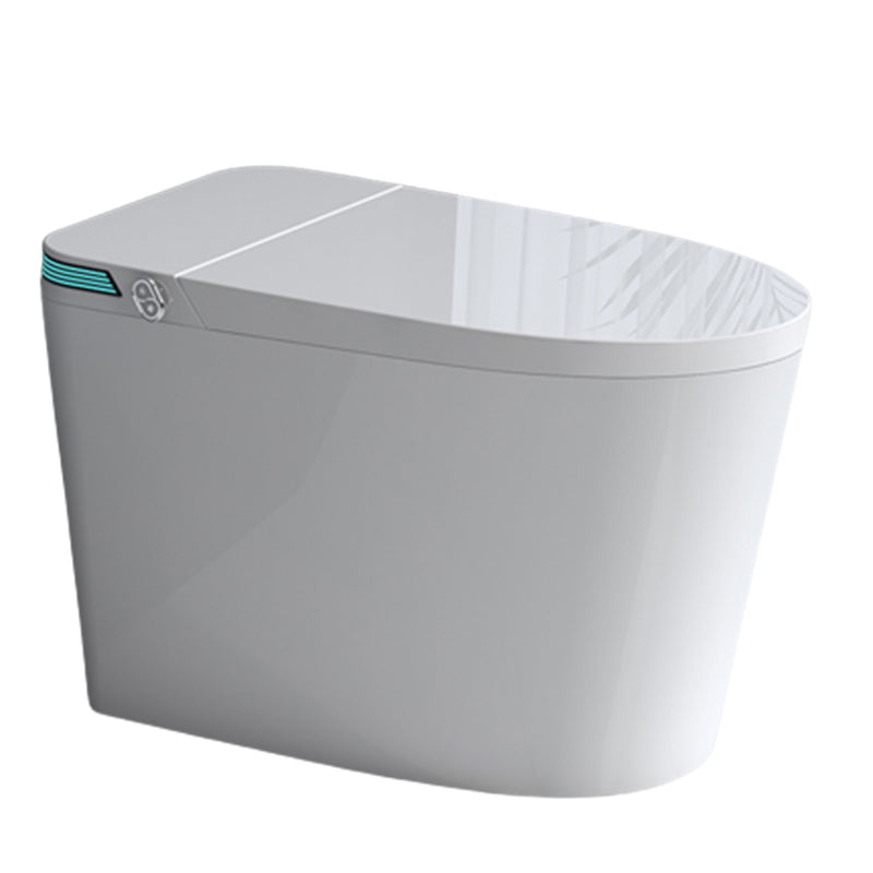 Elongated Floor Standing Bidet with Warm Air Dryer and Bidet Sprayer Clearhalo 'Bathroom Remodel & Bathroom Fixtures' 'Bidets' 'Home Improvement' 'home_improvement' 'home_improvement_bidets' 'Toilets & Bidets' 7703908