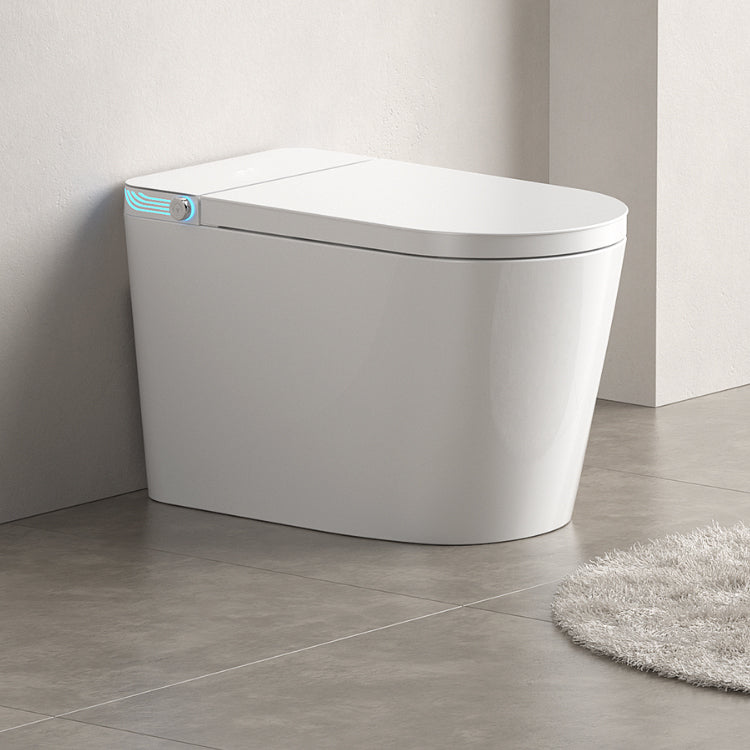 White Elongated Floor Mount Bidet with Warm Air Dryer and Bidet Sprayer Clearhalo 'Bathroom Remodel & Bathroom Fixtures' 'Bidets' 'Home Improvement' 'home_improvement' 'home_improvement_bidets' 'Toilets & Bidets' 7703934