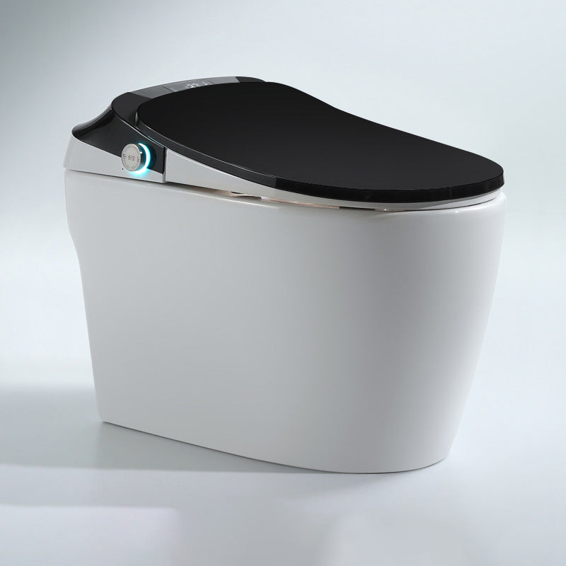 16.5" W Elongated All-in-One Toilet Seat Bidet with Wireless Remote Control Black White Clearhalo 'Bathroom Remodel & Bathroom Fixtures' 'Bidets' 'Home Improvement' 'home_improvement' 'home_improvement_bidets' 'Toilets & Bidets' 7758119