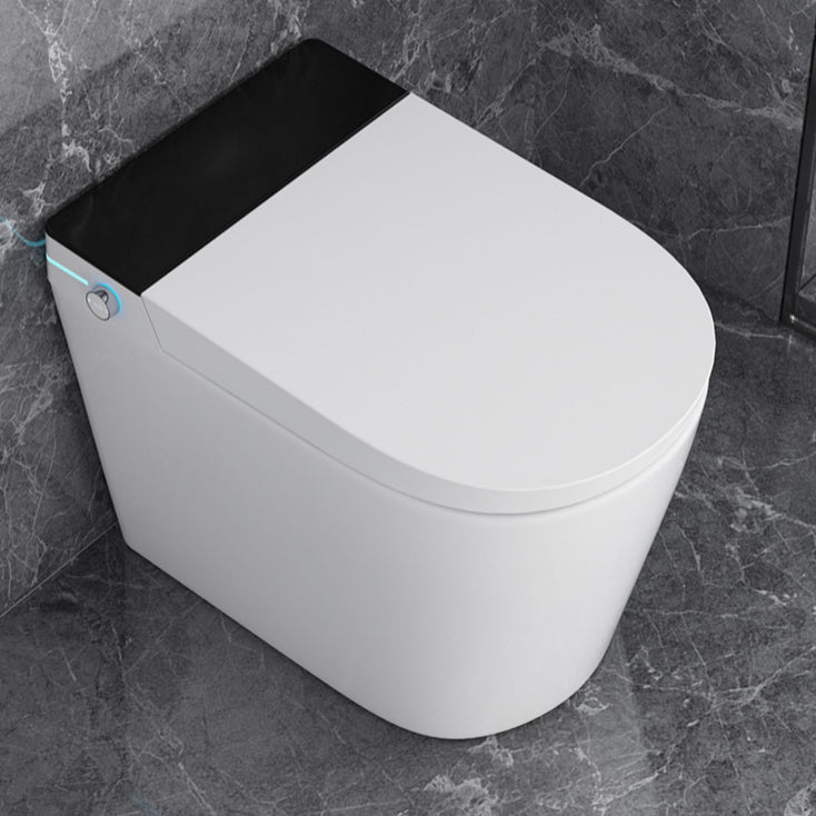 Elongated All-in-One Bidet Toilet Seat with Unlimited Warm Water Clearhalo 'Bathroom Remodel & Bathroom Fixtures' 'Bidets' 'Home Improvement' 'home_improvement' 'home_improvement_bidets' 'Toilets & Bidets' 7758129