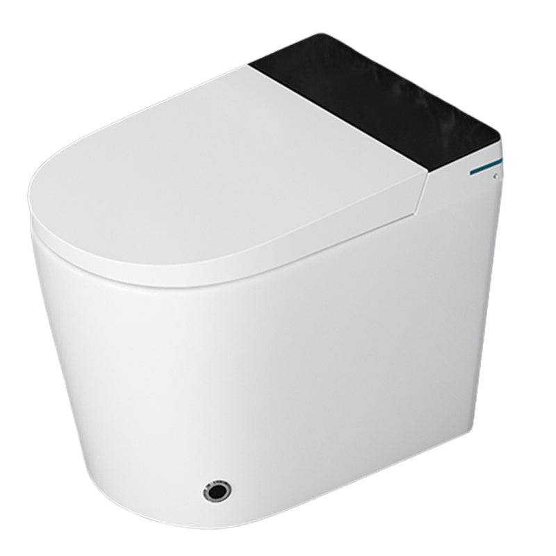 Elongated All-in-One Bidet Toilet Seat with Unlimited Warm Water Clearhalo 'Bathroom Remodel & Bathroom Fixtures' 'Bidets' 'Home Improvement' 'home_improvement' 'home_improvement_bidets' 'Toilets & Bidets' 7758134