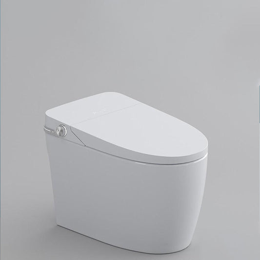 15.9" W Antimicrobial Ceramic Floor Mount Bidet with Warm Air Dryer Clearhalo 'Bathroom Remodel & Bathroom Fixtures' 'Bidets' 'Home Improvement' 'home_improvement' 'home_improvement_bidets' 'Toilets & Bidets' 7758143