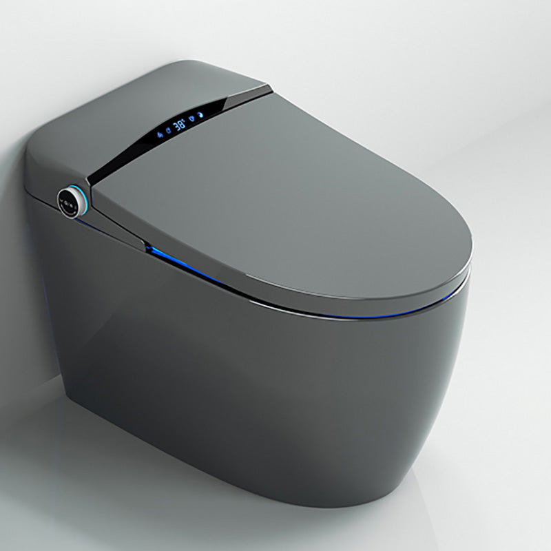 Gray Electronic Elongated Toilet Seat Bidet with Wireless Remote Control No Clearhalo 'Bathroom Remodel & Bathroom Fixtures' 'Bidets' 'Home Improvement' 'home_improvement' 'home_improvement_bidets' 'Toilets & Bidets' 7758167