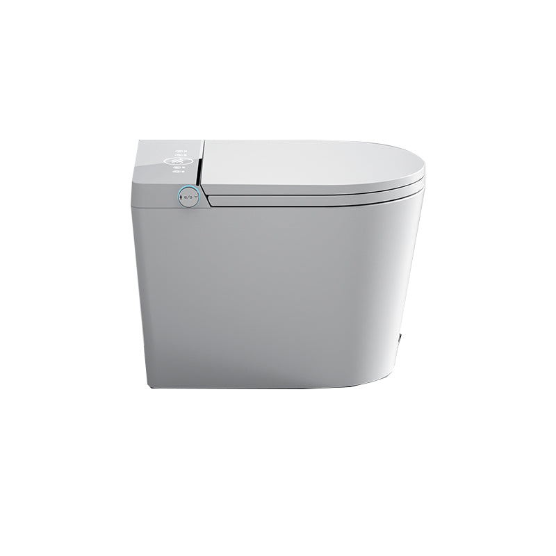 Ceramic Temperature Control White Elongated Contemporary Floor Standing Bidet Clearhalo 'Bathroom Remodel & Bathroom Fixtures' 'Bidets' 'Home Improvement' 'home_improvement' 'home_improvement_bidets' 'Toilets & Bidets' 7758728