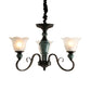3/6-Light Pendant Light Rural Style Frosted Ribbed Glass Chandelier Lighting Fixture in Black with Swirl Arm Clearhalo 'Ceiling Lights' 'Chandeliers' Lighting' options 785121