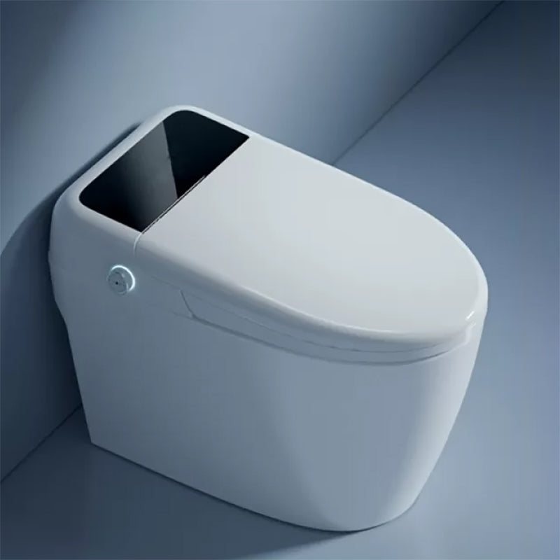 White Floor Standing Bidet with Bidet and Seat Elongated Contemporary Manual Flip (Standard) Clearhalo 'Bathroom Remodel & Bathroom Fixtures' 'Bidets' 'Home Improvement' 'home_improvement' 'home_improvement_bidets' 'Toilets & Bidets' 7878101