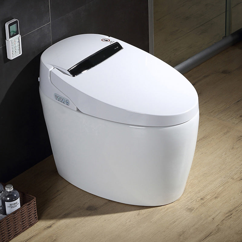 Elongated All-in-One Floor Standing Bidet with Unlimited Warm Water Clearhalo 'Bathroom Remodel & Bathroom Fixtures' 'Bidets' 'Home Improvement' 'home_improvement' 'home_improvement_bidets' 'Toilets & Bidets' 7878545