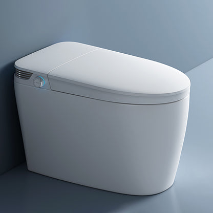 19.7" H Elongated Toilet Seat Bidet of Vitreous China with Heated Sea Manual Flip (Standard) Clearhalo 'Bathroom Remodel & Bathroom Fixtures' 'Bidets' 'Home Improvement' 'home_improvement' 'home_improvement_bidets' 'Toilets & Bidets' 7878586