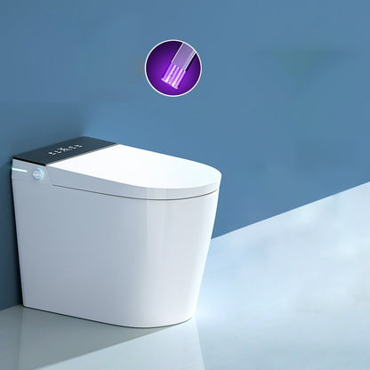 Elongated Smart All-in-One Bidet Bronze with Heated Seat - 22.8" D No Clearhalo 'Bathroom Remodel & Bathroom Fixtures' 'Bidets' 'Home Improvement' 'home_improvement' 'home_improvement_bidets' 'Toilets & Bidets' 7878629